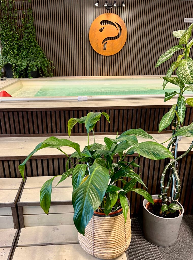 pool- och spabloggen